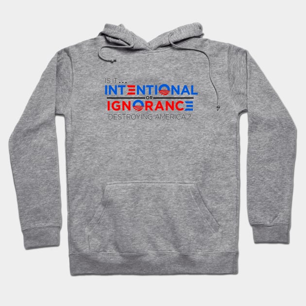 Destroying America Hoodie by DDGraphits